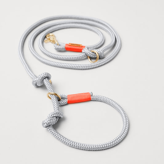 Retrieverleine Pebble Stone Neonorange, Halsung mit integrierter Leine, goldene Messingkarabiner, 2-fach längenverstellbar, 10mm