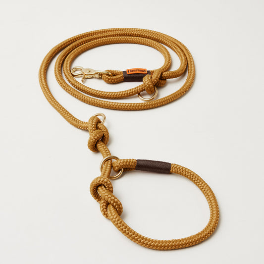 Tau Retrieverleine Sweet Toffee Dunkelbraun, Halsung mit integrierter Leine, goldene Messingkarabiner, 2-fach längenverstellbar, erhältlich in 8 und 10 mm