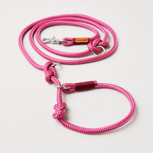 Retrieverleine Viva Magenta Burgunder, Halsung mit integrierter Leine, silberne Karabiner, 2-fach längenverstellbar, erhältlich in 8 und 10 mm