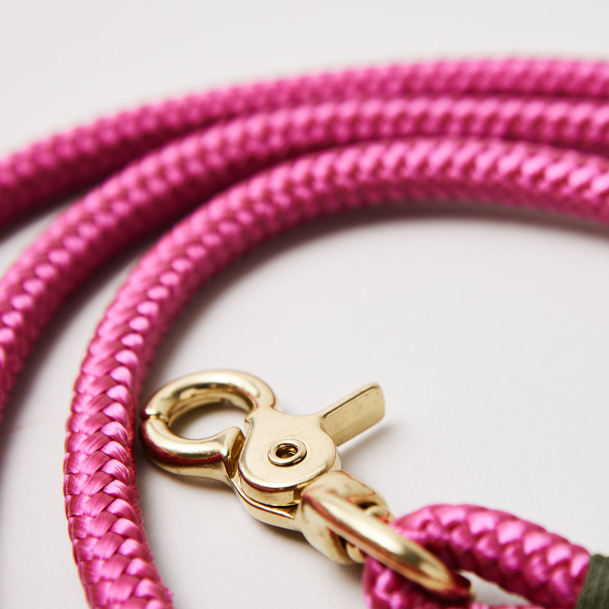 Scherenkarabiner Messing an Tau Hundeleine Viva Magenta Oliv