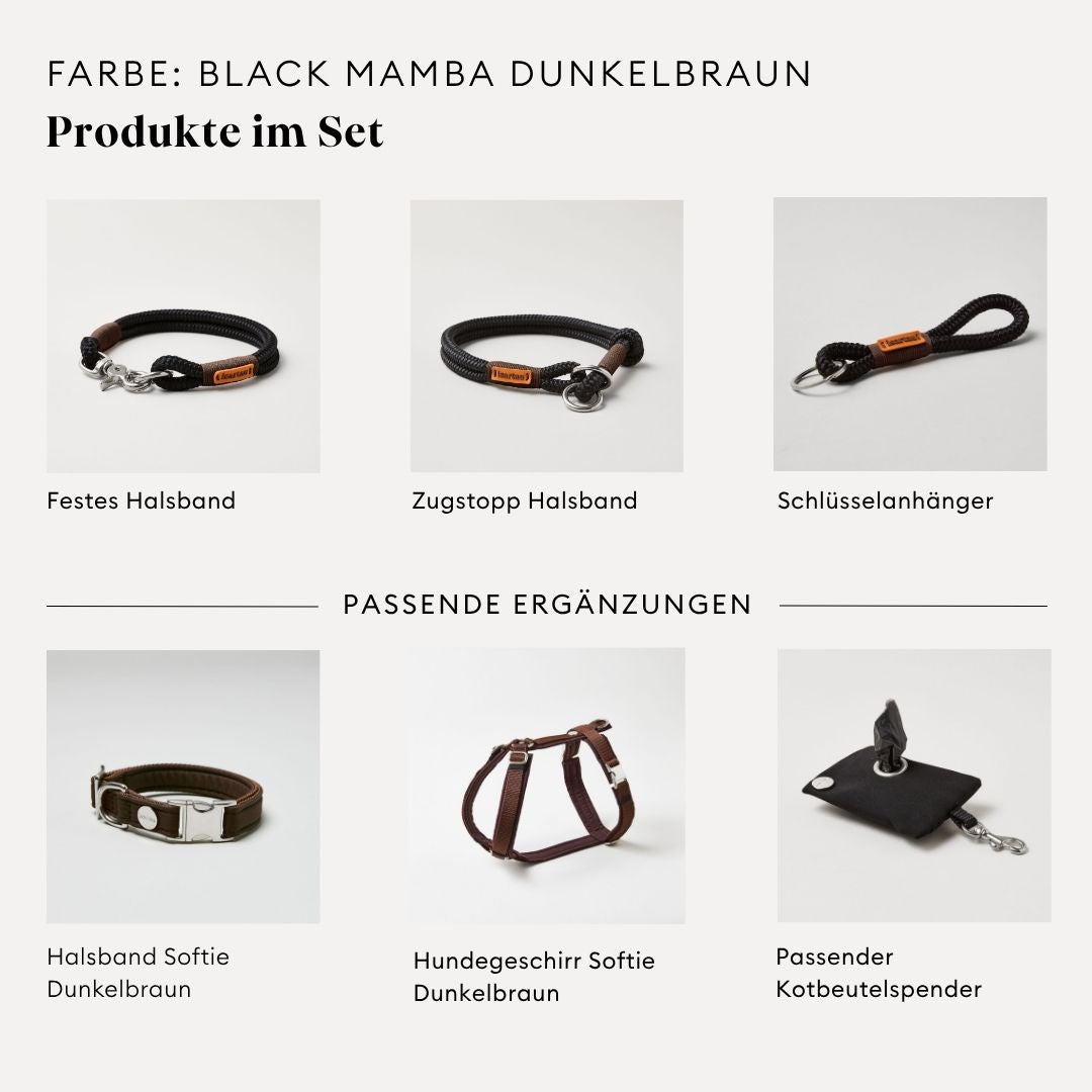 isartau Black Mamba Dunkelbraun, Tauhalsband und Tauleine im Set kombiniert