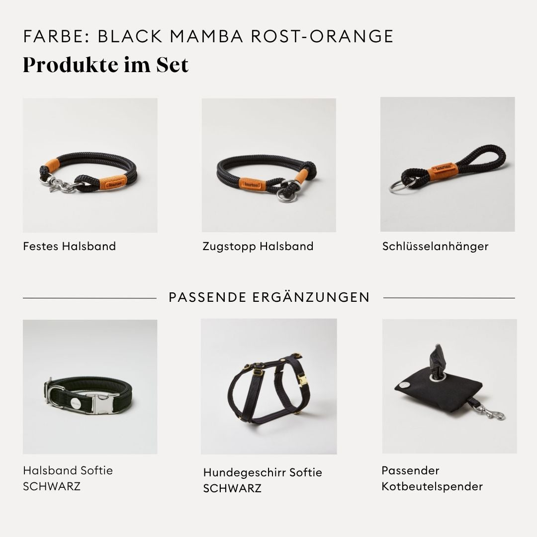 isartau Black Mamba Rost-Orange, Tauhalsband und Tauleine im Set kombiniert