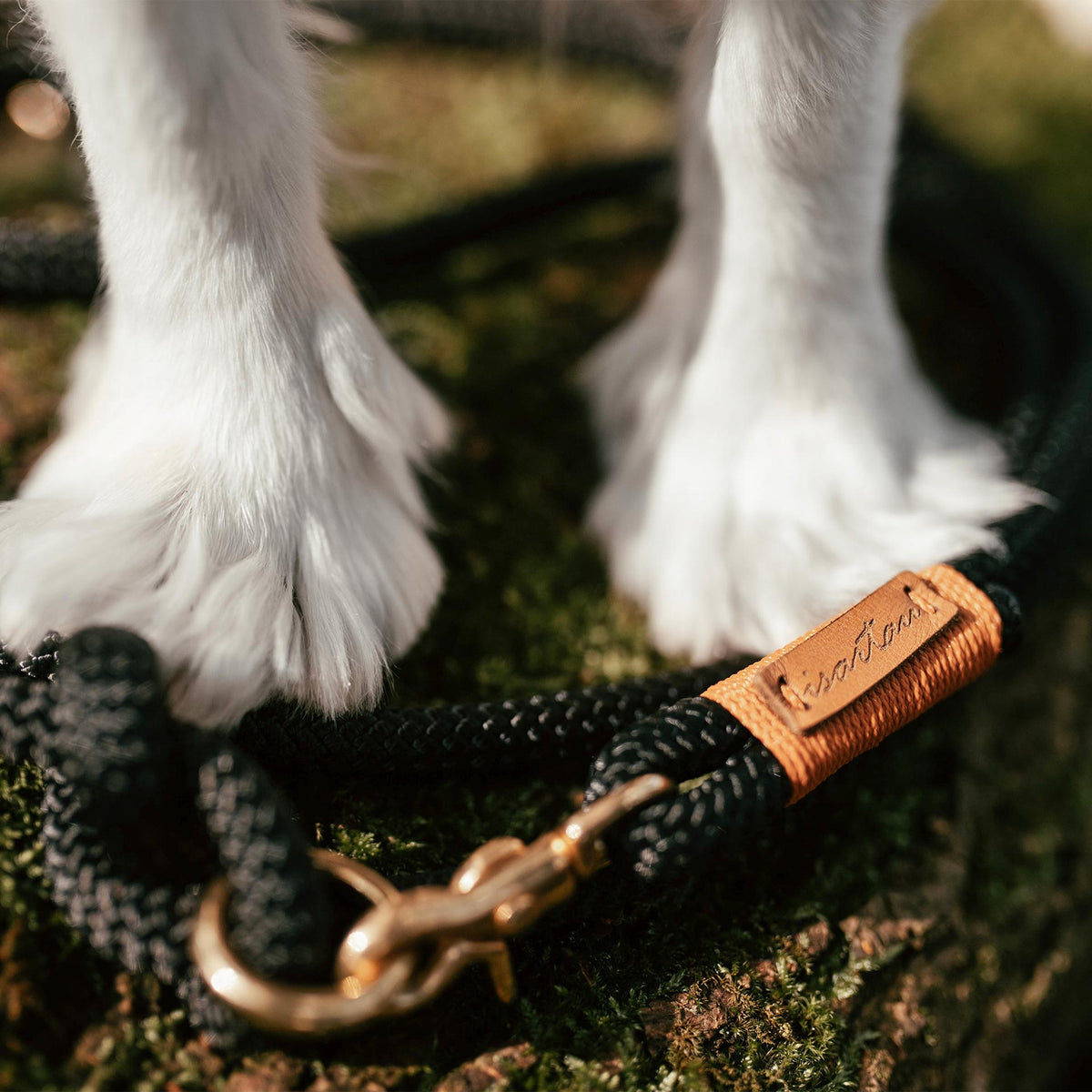 isartau Black Mamba Rost-Orange – Stimmungsbild Farbkombination