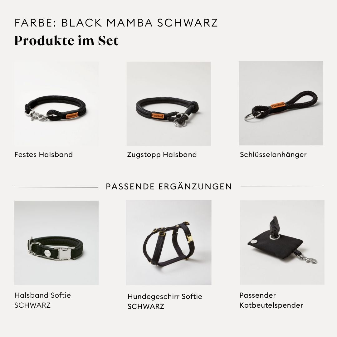isartau Black Mamba Schwarz, Tauhalsband und Tauleine im Set kombiniert