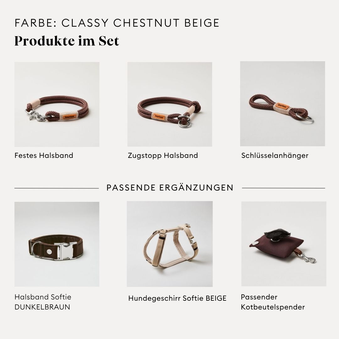 isartau Classy Chestnut Beige, Tauhalsband und Tauleine im Set kombiniert