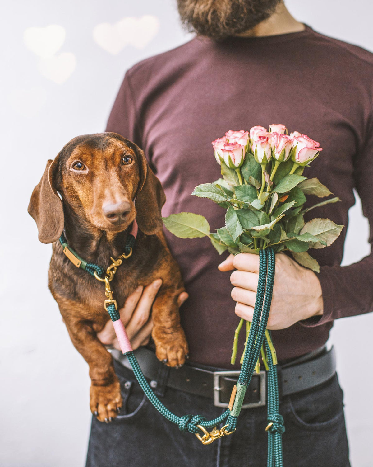 isartau Evergreen Rose-Grün – Stimmungsbild mit Hund