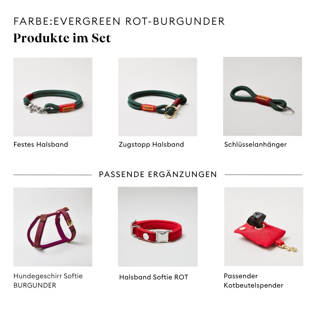 isartau Evergreen Rot-Burgunder, Tauhalsband und Tauleine im Set kombiniert