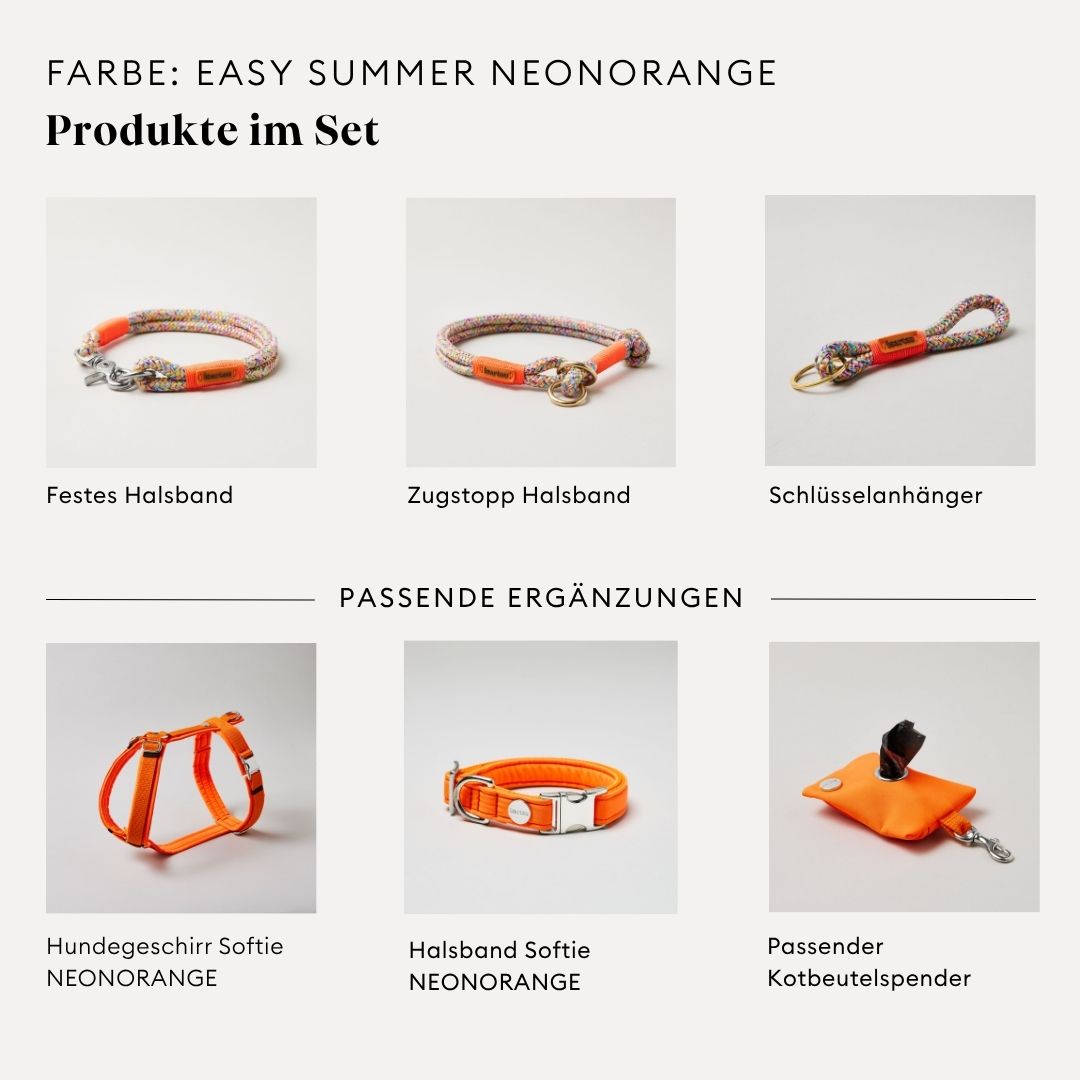 isartau Easy Summer Neonorange, Tauhalsband und Tauleine im Set kombiniert