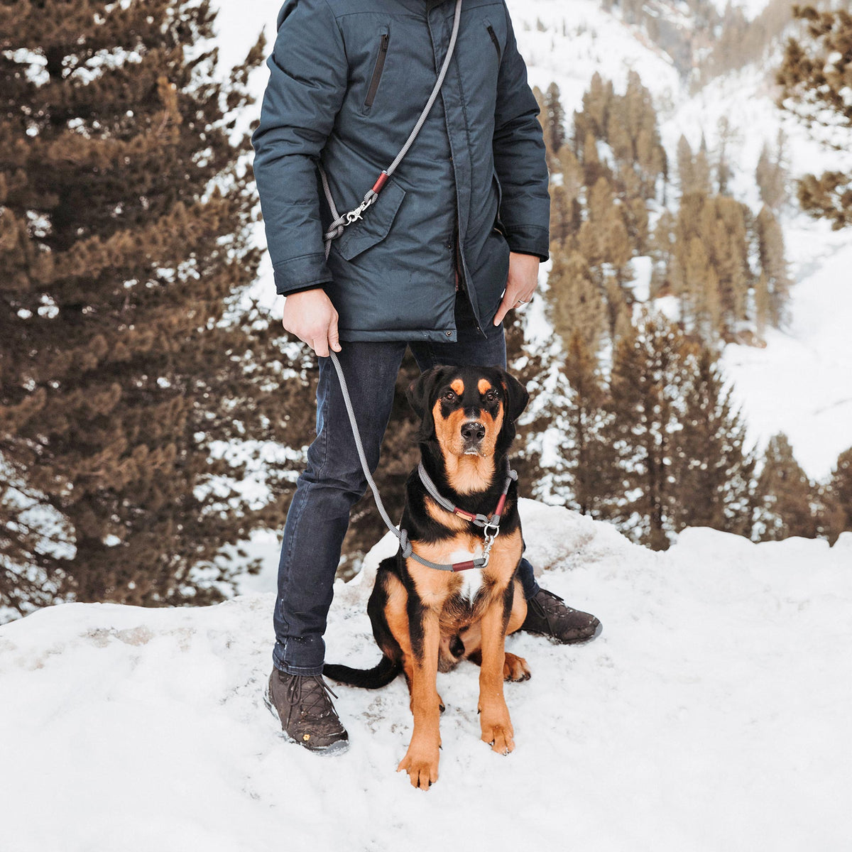 isartau Tauleine Heaven's Rock Burgunder – Stimmungsbild mit Hund