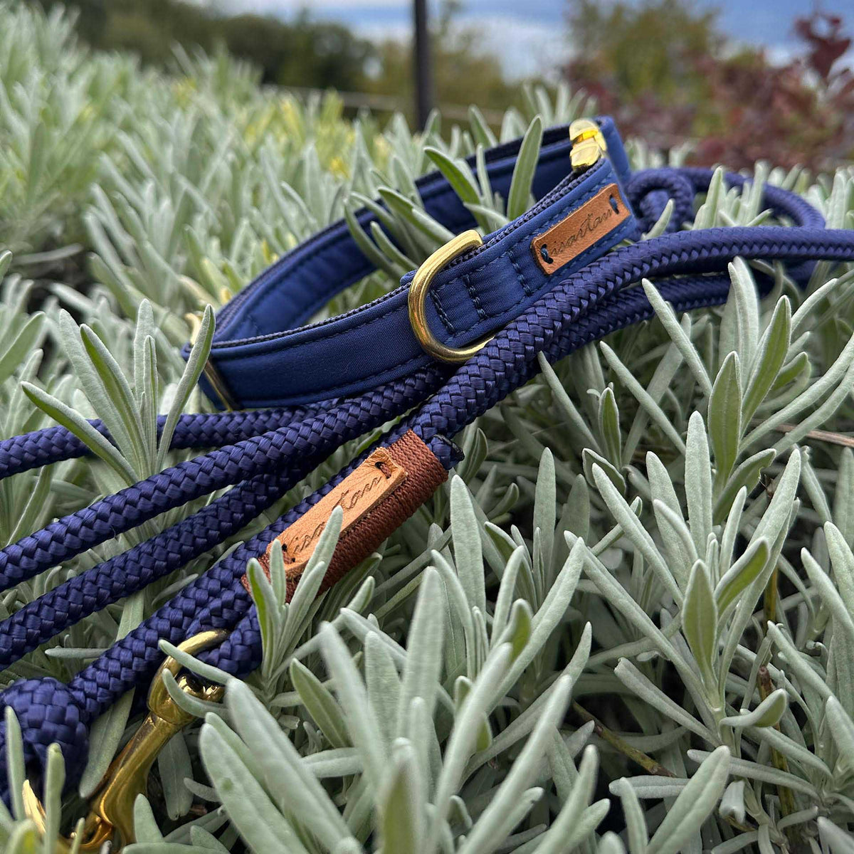 isartau Indigo Sea Kastanie – Stimmungsbild mit Softhalsband, Farbkombination