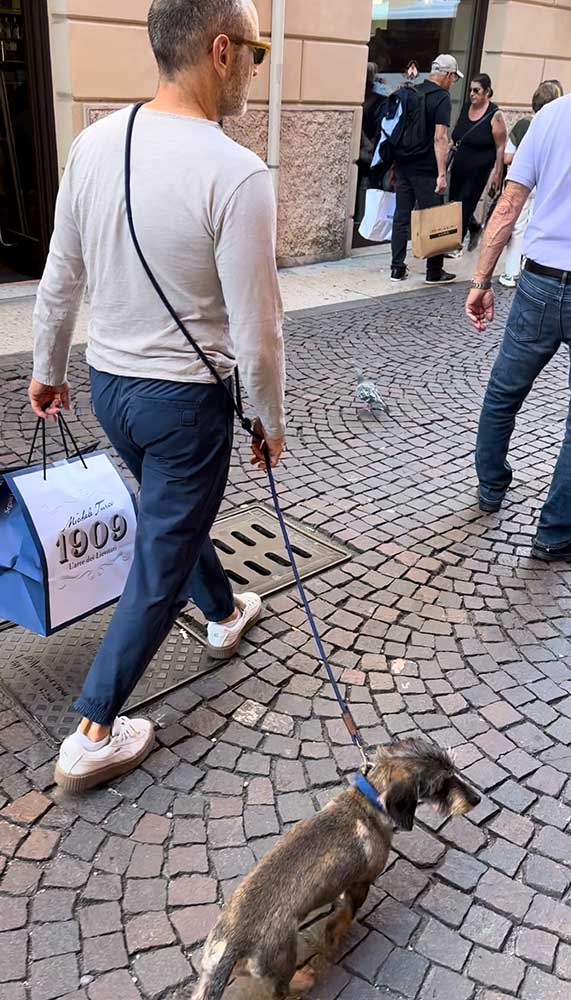 isartau Tauleine Indigo Sea Kastanie – Stimmungsbild mit Hund