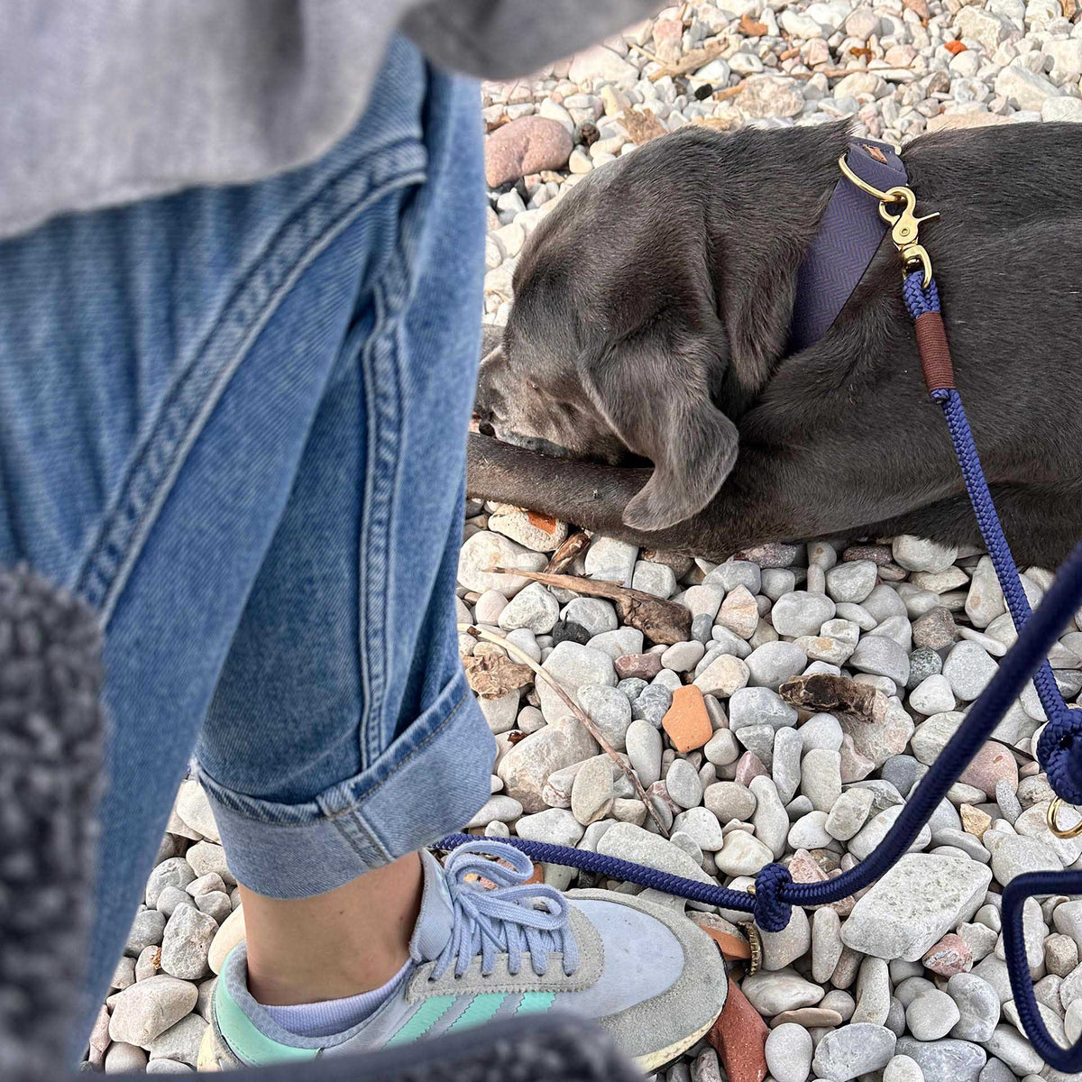 isartau Indigo Sea Kastanie – Stimmungsbild mit Hund