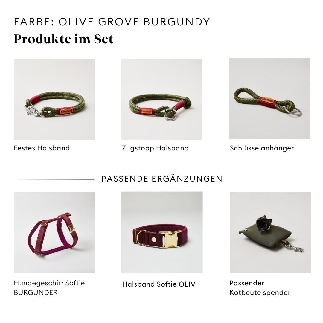isartau Olive Grove Burgunder, Tauhalsband und Tauleine im Set kombiniert