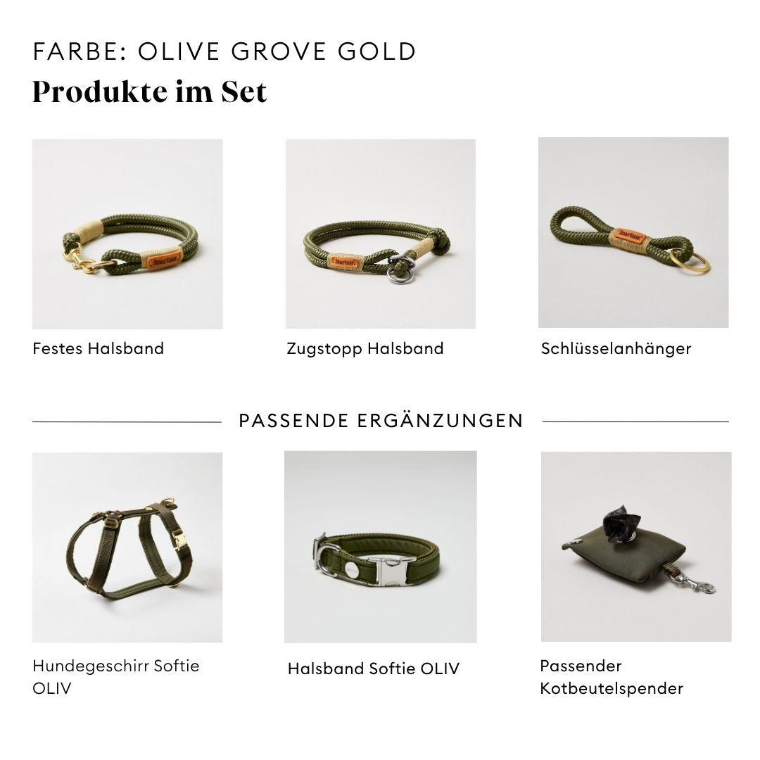 isartau Olive Grove Gold, Tauhalsband und Tauleine im Set kombiniert