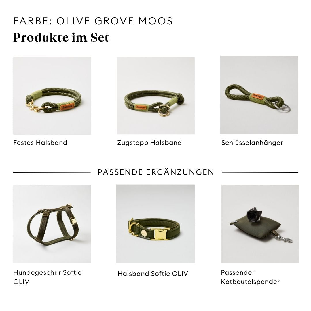 isartau Olive Grove Moos, Tauhalsband und Tauleine im Set kombiniert