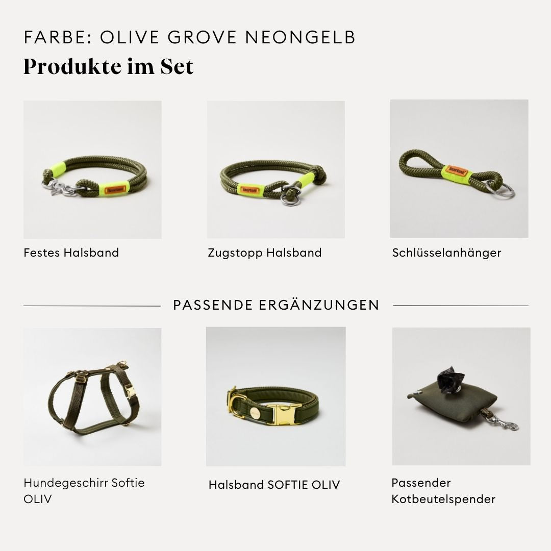 isartau Olive Grove Neongelb, Tauhalsband und Tauleine im Set kombiniert