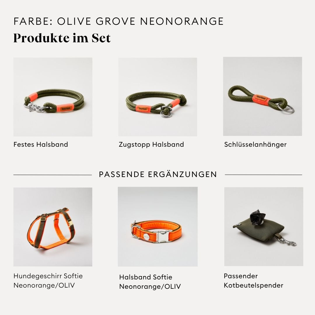 isartau Olive Grove Neonorange, Tauhalsband und Tauleine im Set kombiniert
