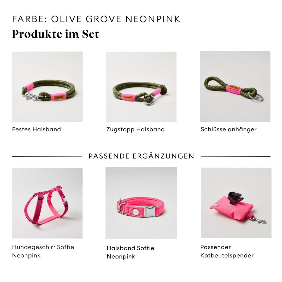 isartau Olive Grove Neonpink, Tauhalsband und Tauleine im Set kombiniert