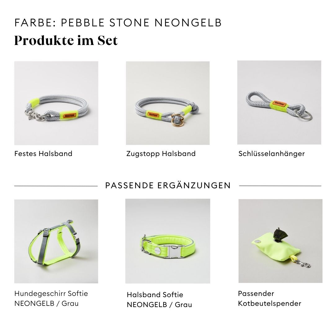 isartau Pebble Stone Neongelb, Tauhalsband und Tauleine im Set kombiniert