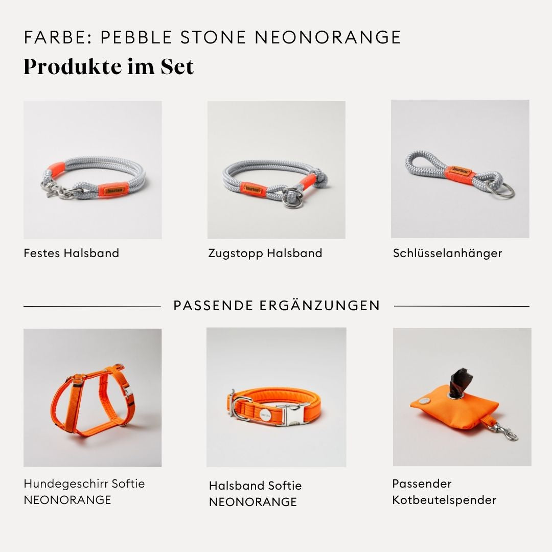 isartau Pebble Stone Neonorange, Tauhalsband und Tauleine im Set kombiniert