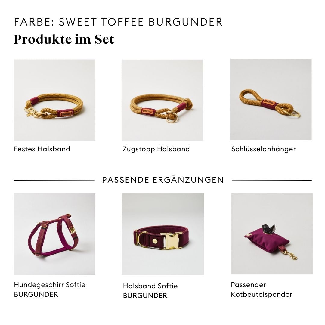 isartau Sweet Toffee Burgunder, Tauhalsband und Tauleine im Set kombiniert