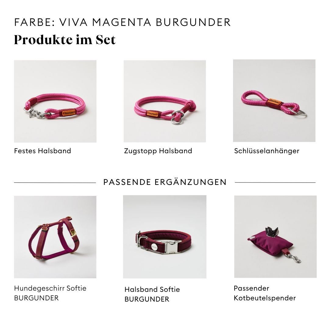 isartau Viva Magenta Burgunder, Tauhalsband und Tauleine im Set kombiniert