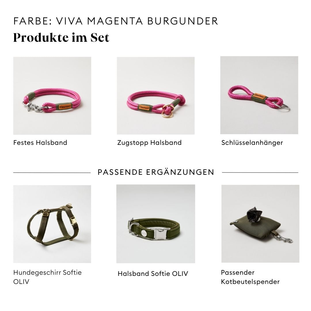 isartau Viva Magenta Oliv, Tauhalsband und Tauleine im Set kombiniert