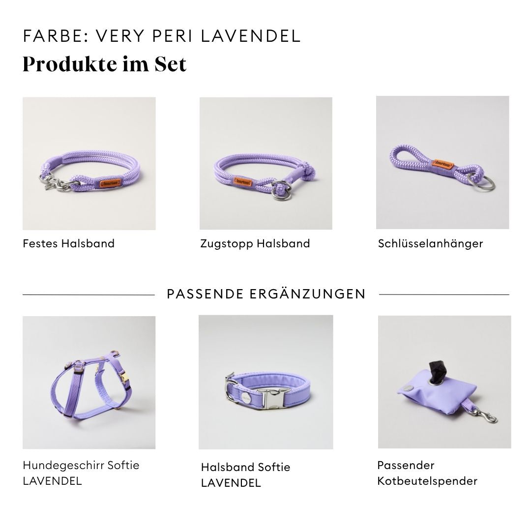 isartau Very Peri Lavendel, Tauhalsband und Tauleine im Set kombiniert