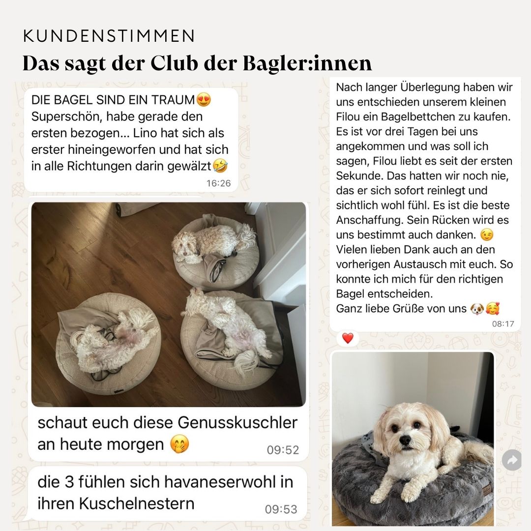 isartau Kundenstimme zum Hundebett Bagelbettchen, 3 von 7