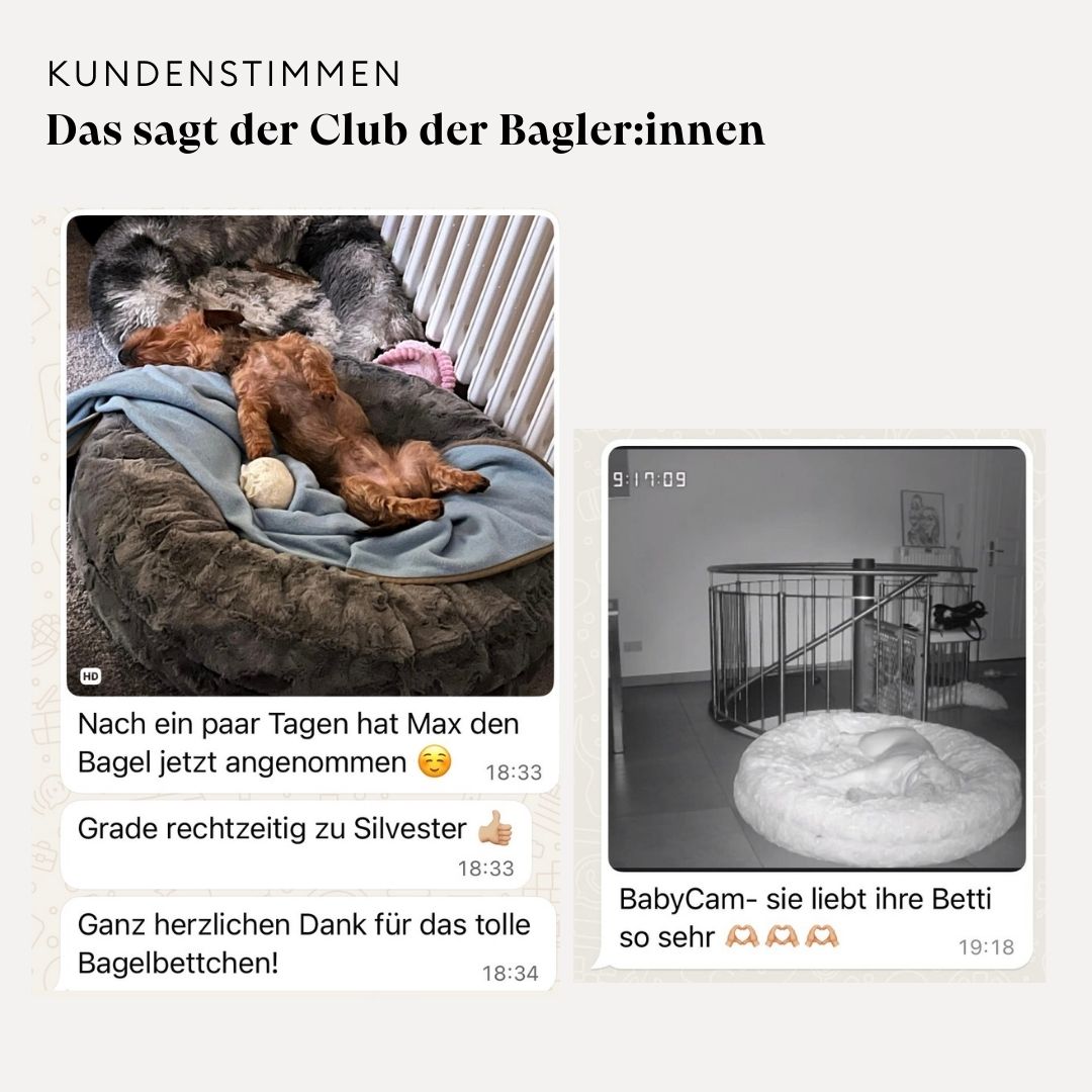 isartau Kundenstimme zum Hundebett Bagelbettchen, 4 von 7