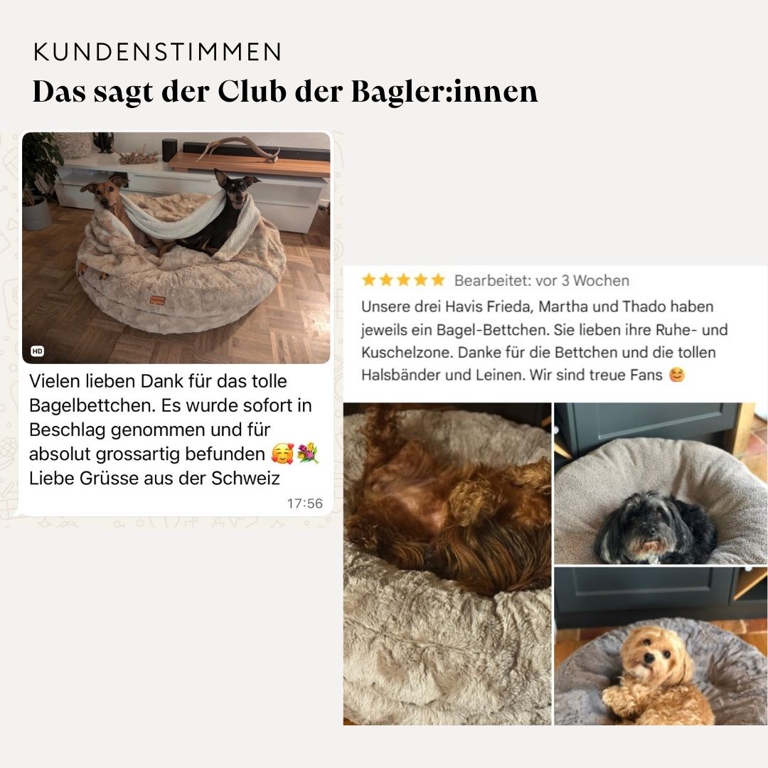 isartau Kundenstimme zum Hundebett Bagelbettchen, 6 von 7