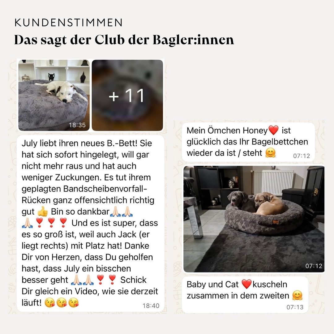 isartau Kundenstimme zum Hundebett Bagelbettchen, 7 von 7
