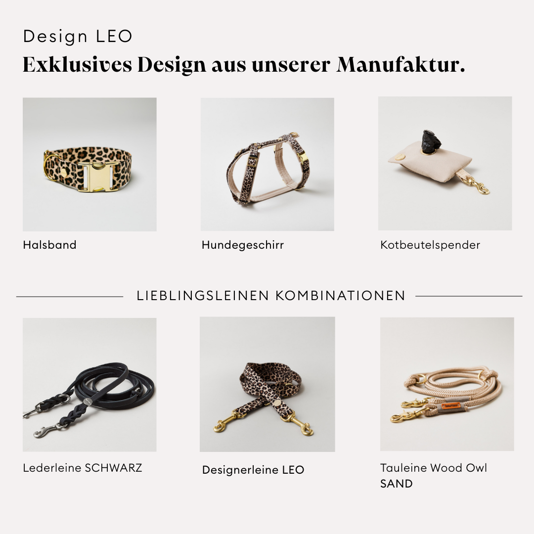 Grafik zeigt Produkte aus anderen Materialien passend zum Design LEO
