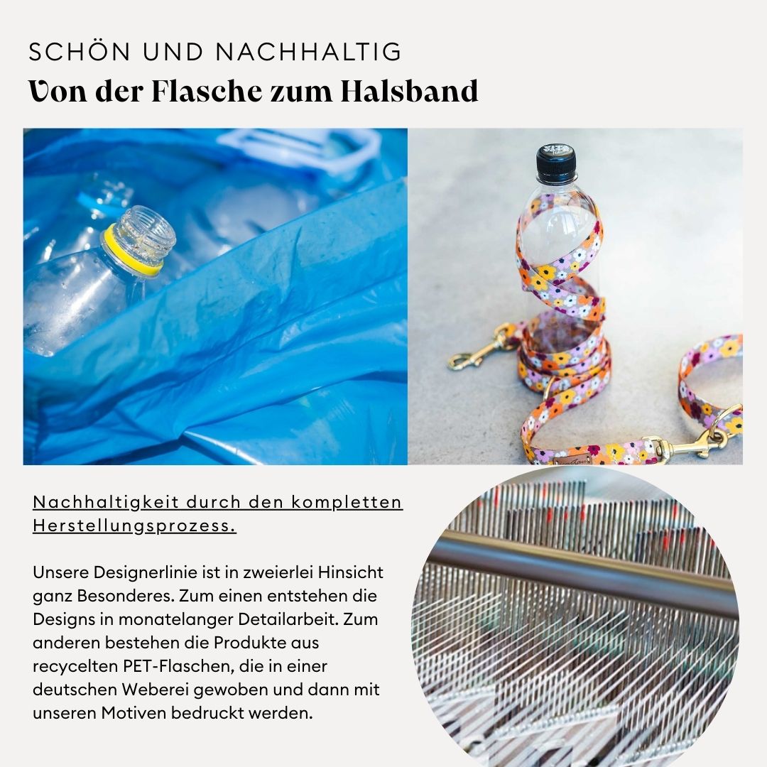 Grafik zeigt entstehen der Designerbänder aus recycelten PET Flaschen