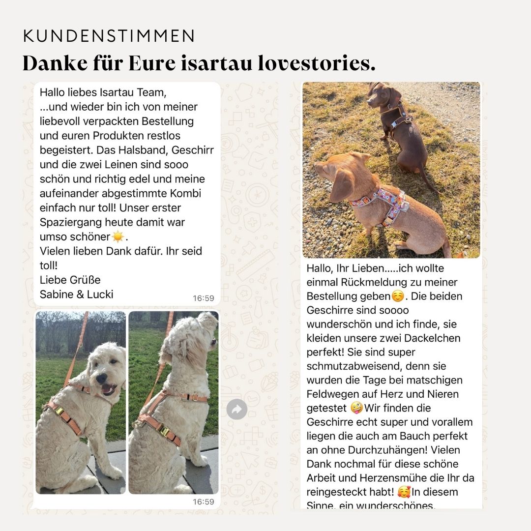 Kundenstimmen zu unseren gepolsterten Geschirren