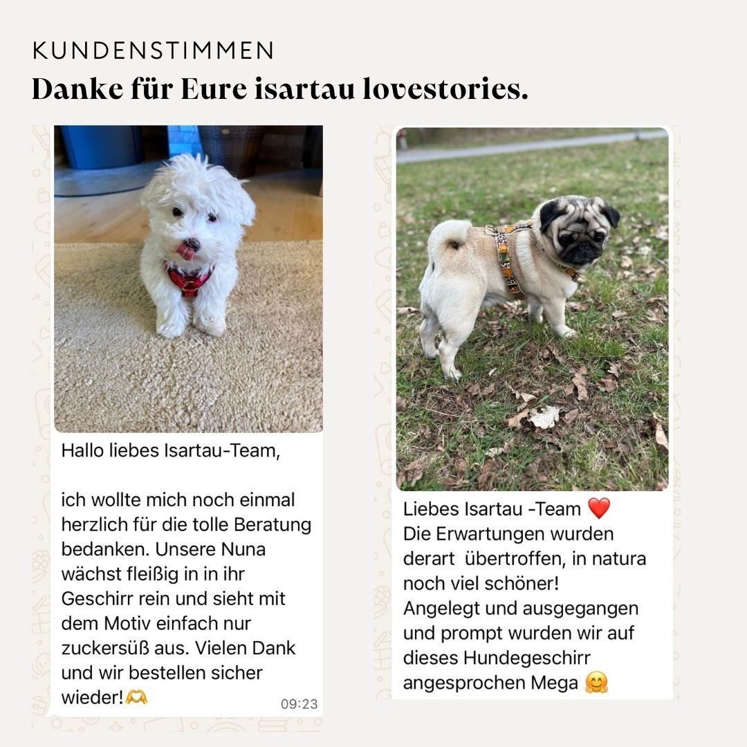 Grafik Kundenstimmen