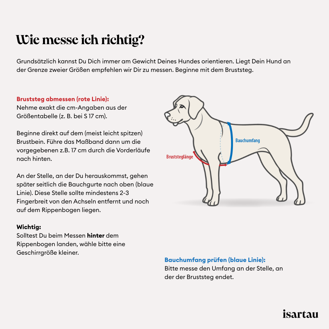 isartau Hundegeschirr, Anleitung zum Ausmessen
