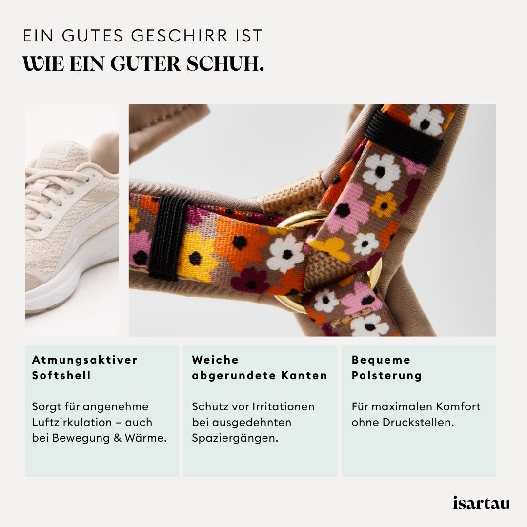 Grafik zeigt wie bequem ein Hundegeschirr sitzen soll, Schuhvergleich