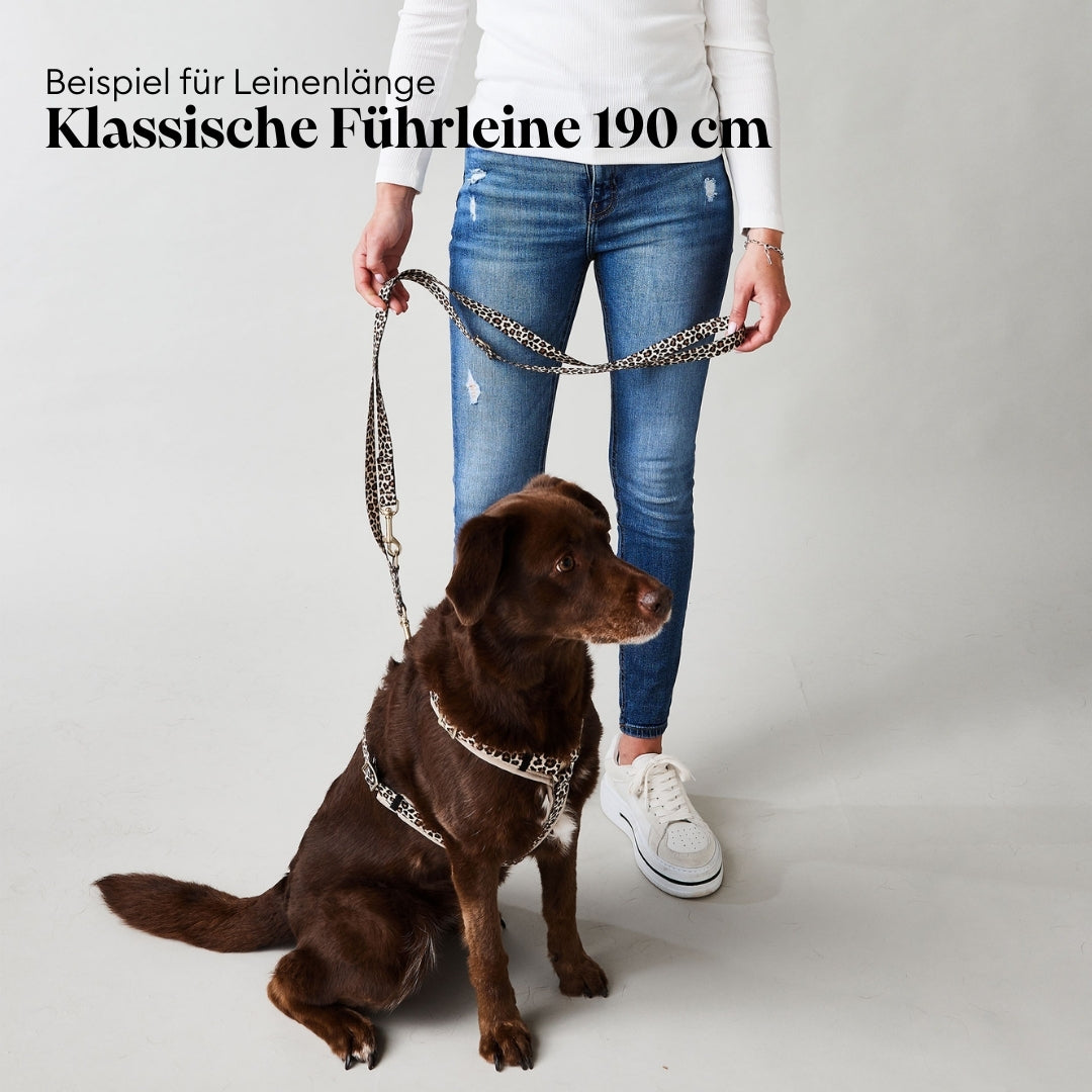 isartau Designerleine als Führleine, 190 cm