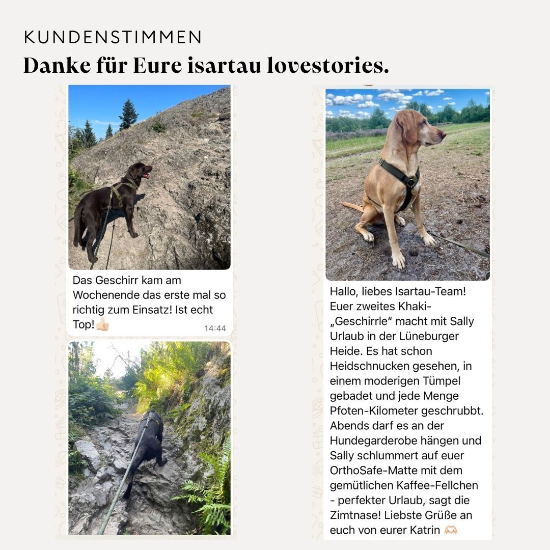 isartau Kundenstimmen zu Basic Hundegeschirr Softie