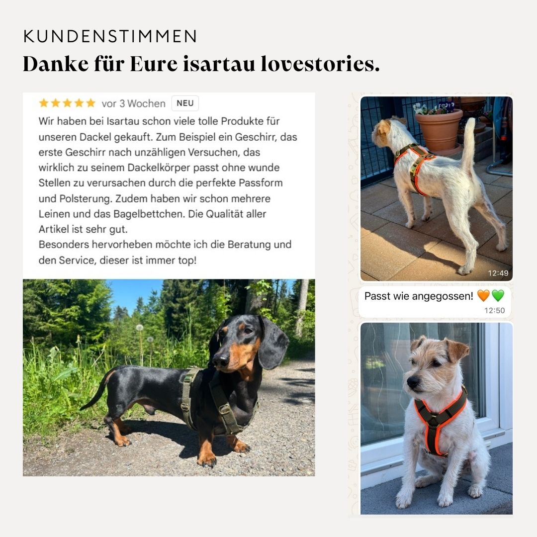 isartau Kundenstimmen zu Basic Hundegeschirr Softie