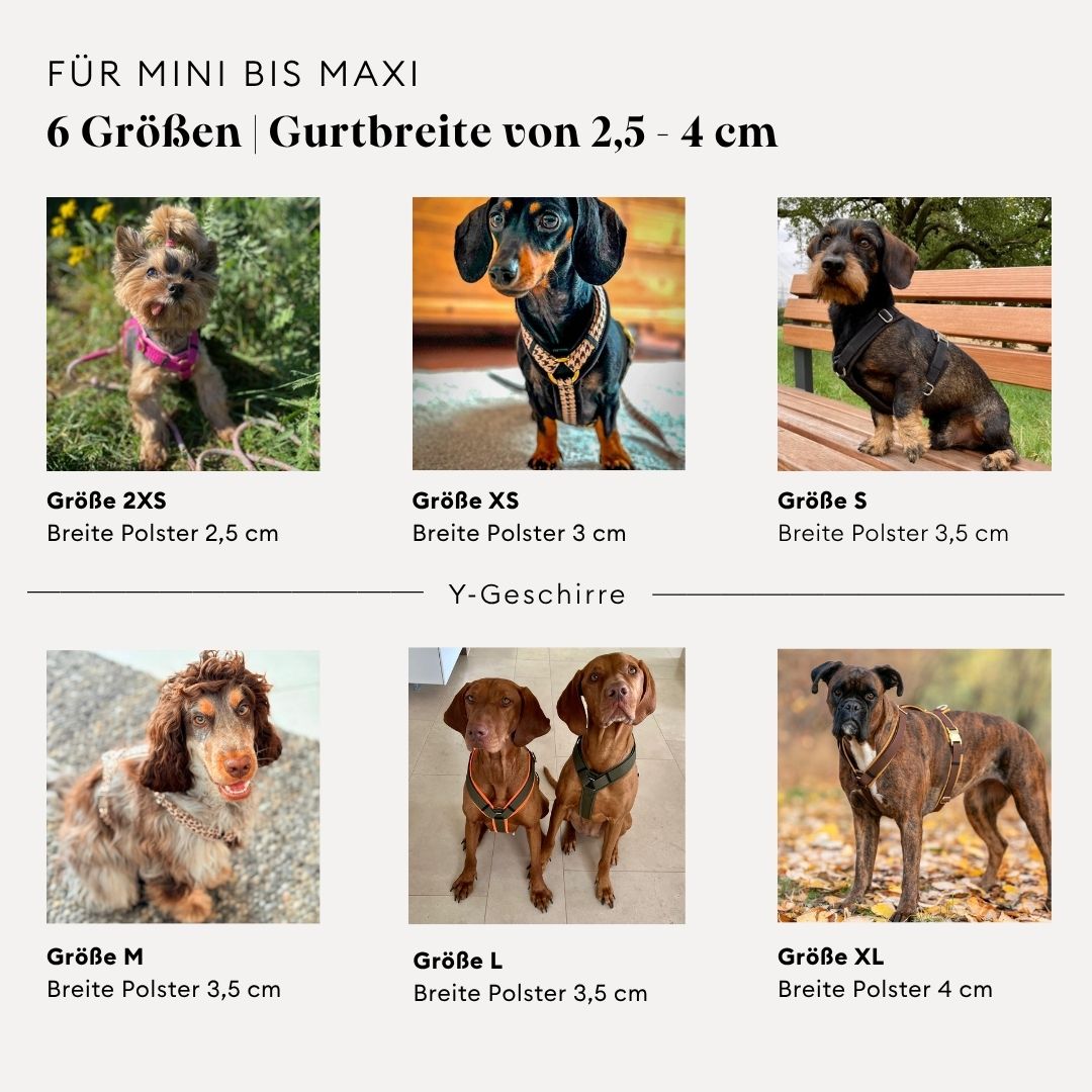 isartau Hilfestellung Größenauswahl nach Hund