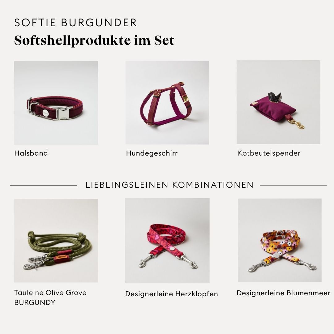 isartau Softie Burgunder, Hundegeschirr, Halsband und Kotbeutelspender im Set kombiniert