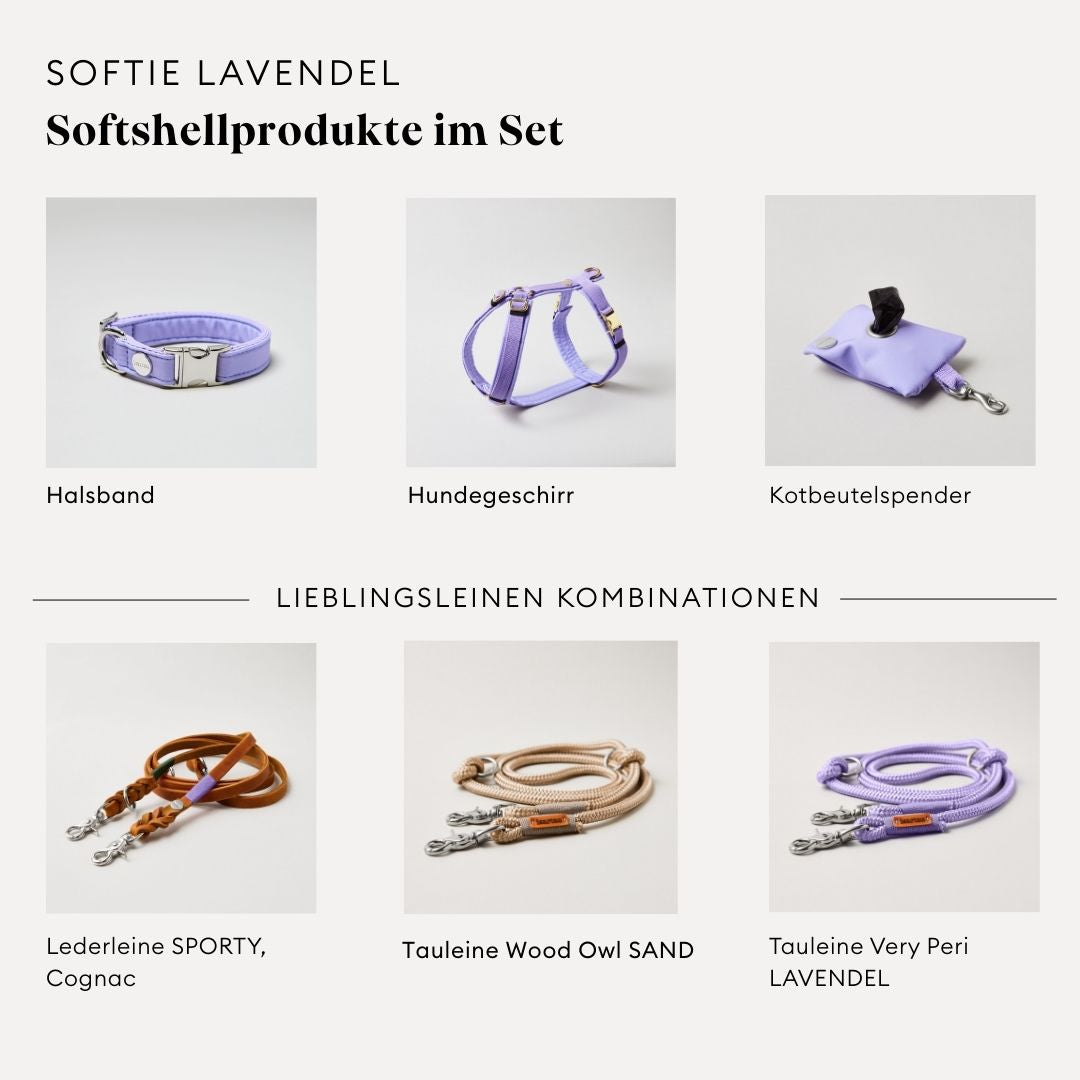 isartau Softie Lavendel, Hundegeschirr, Halsband und Kotbeutelspender im Set kombiniert