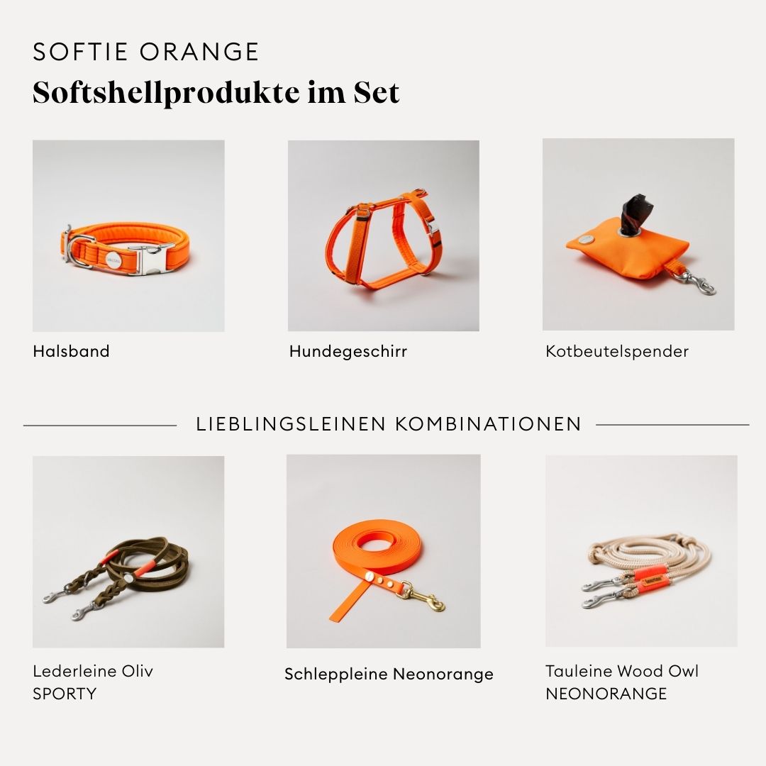 isartau Softie Neonorange, Hundegeschirr, Halsband und Kotbeutelspender im Set kombiniert