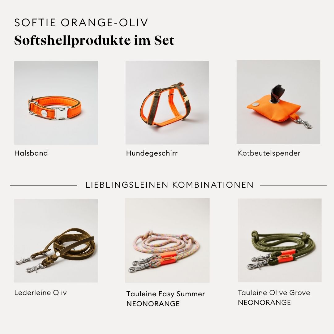 isartau Softie Neonorange-Oliv, Hundegeschirr, Halsband und Kotbeutelspender im Set kombiniert