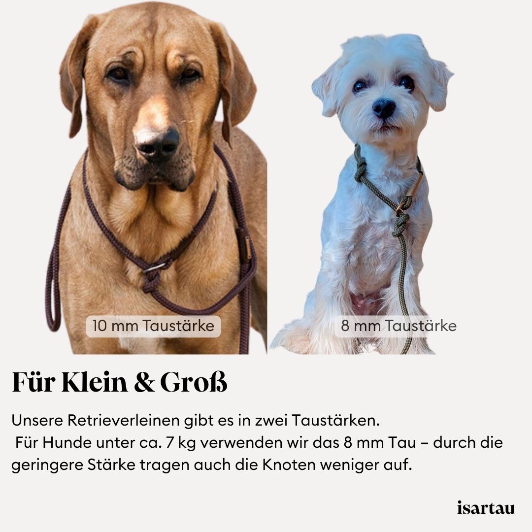 Grafik zeigt kleinen und großen Hund mit Retrieverleine