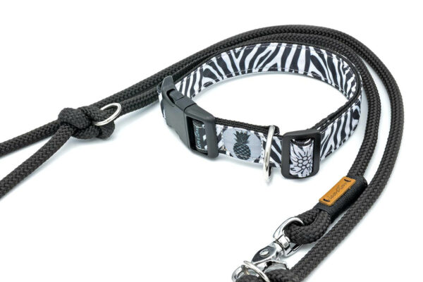 Halsband Zebra mit schwarzer Tauleine