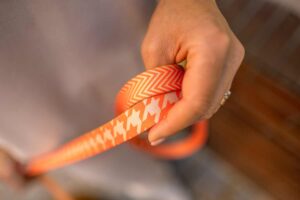 Designerleine *Wandler*