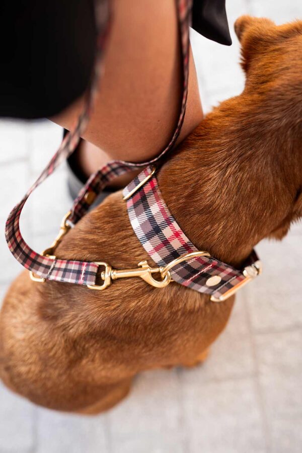 Designerhalsband *Flaneur* – Bild 2
